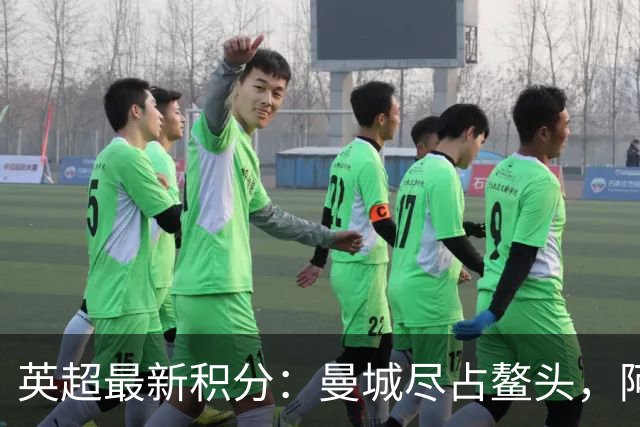 英超最新积分：曼城尽占鳌头，阿森纳与布莱顿紧随其后